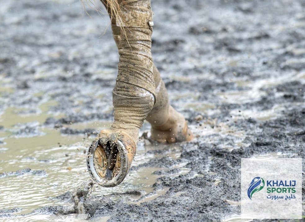 الغموض في عالم سباقات الخيل: انتهاكات معايير النزاهة تحيط ببعض المدربين